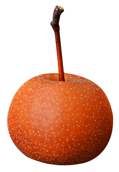 Asian Pear Fruit with Stem PNG image