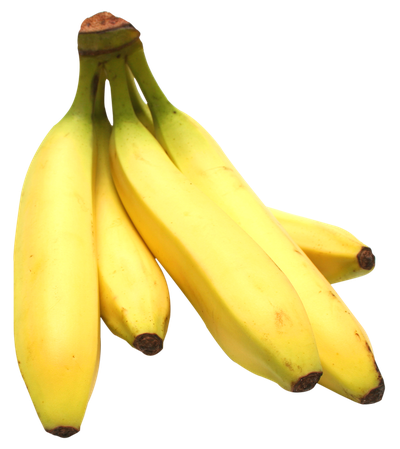 Banana Bunch PNG image