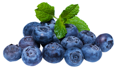 Blueberries with leaves PNG image