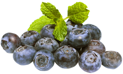 Blueberries PNG image