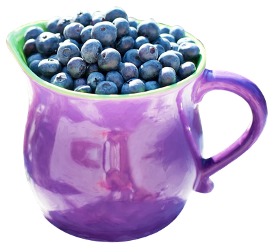 Blueberries in Jug PNG image