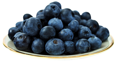 Blueberries on Plate PNG image