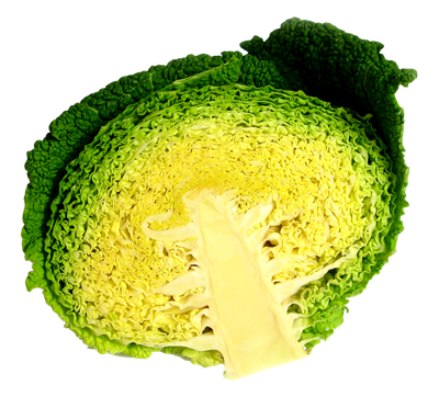 Cabbage Half PNG Image