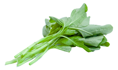 Chinese Spinach PNG Image