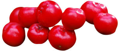 Cranberries PNG image