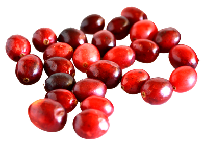Cranberry PNG image