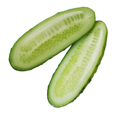 Cucumber Sliced PNG Image