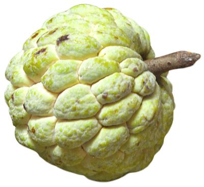 Custard Apple Fruit PNG image
