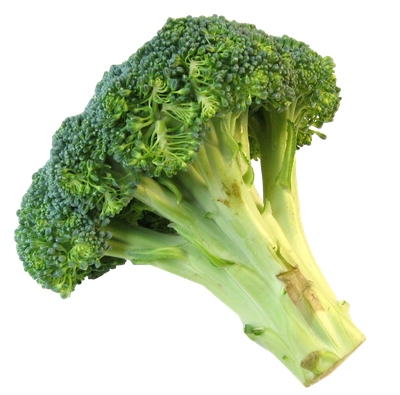 Fresh Broccoli PNG Image