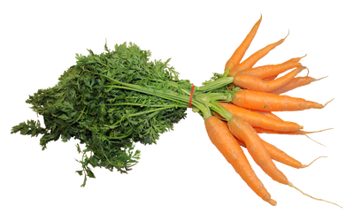 Fresh Carrot PNG Image