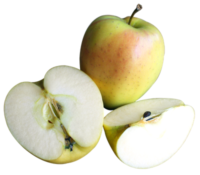 Green Apple with Slices PNG image