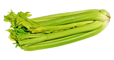 Green Celery PNG Image