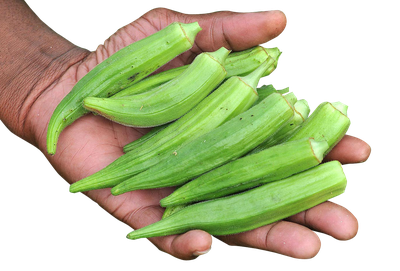 Hand with Okra PNG Image