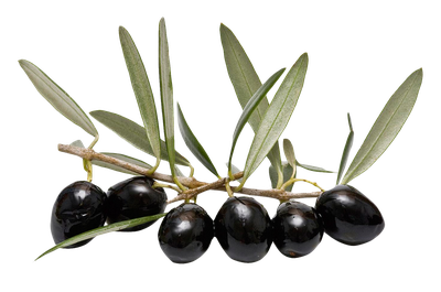 Olive With Leaf PNG Image