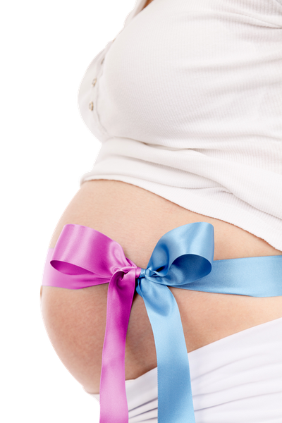 Pregnant Woman PNG image