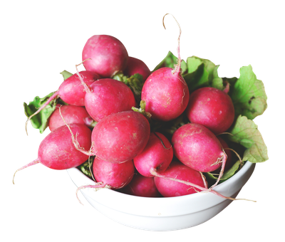 Radish in a Bowl PNG Image