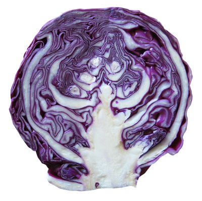 Red Cabbage PNG Image