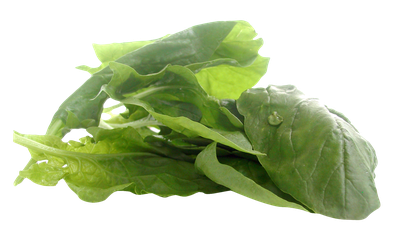 Spinach PNG Image