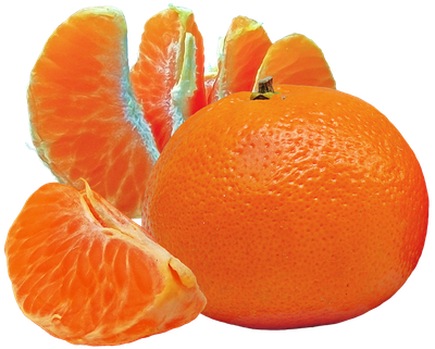 Tangerine and Slices PNG image
