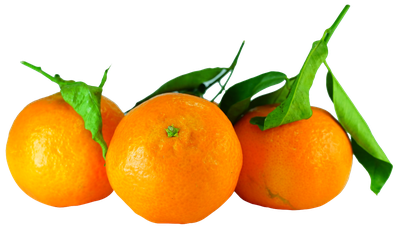 Tangerines with Leaves PNG image