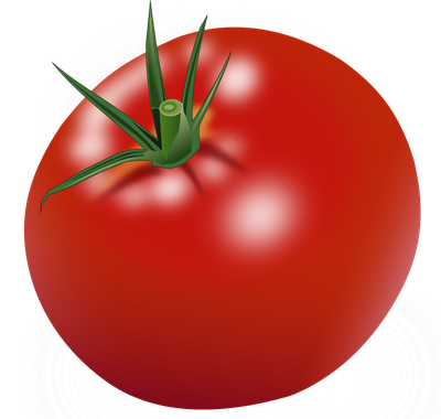 Tomato PNG image