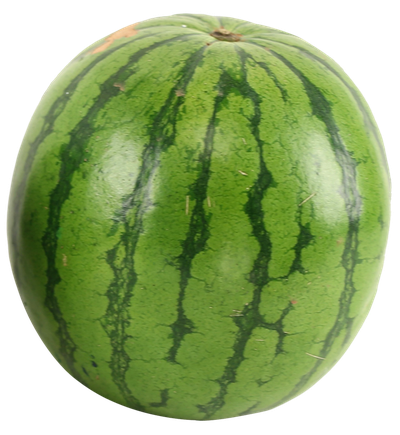 Watermelon PNG image