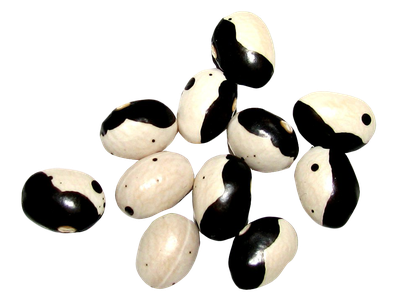 Yin Yang Beans PNG Image