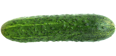 Cucumber PNG image