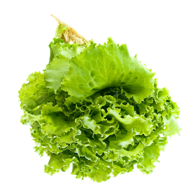Salad Leaf PNG Image