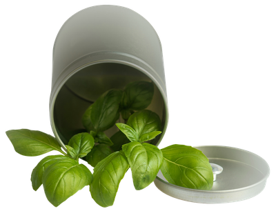 Basil Leaf Pot PNG Transparent Image