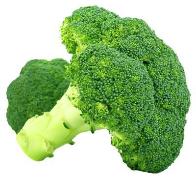Broccoli PNG Transparent Image