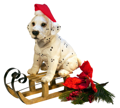 Christmas Dog PNG Transparent Image