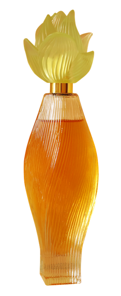 Perfume Bottle PNG Transparent Image