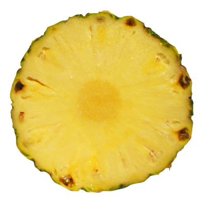 Pineapple Slice PNG Transparent Image