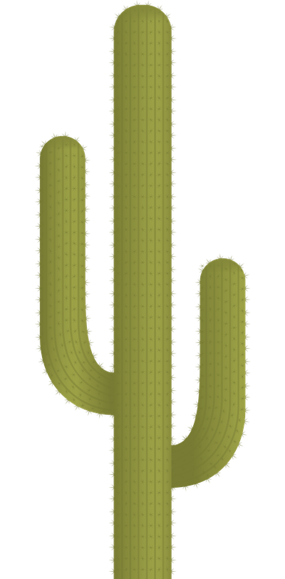 Cactus Plant Vector PNG Image