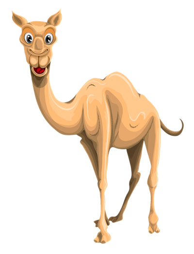 Camel Vector PNG Transparent Image