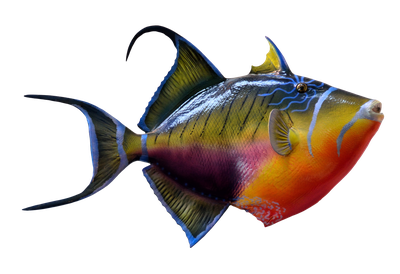 Colorful Fish PNG Transparent Image