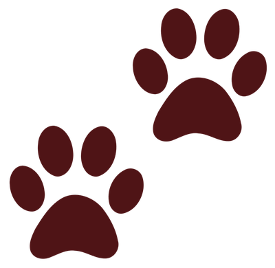 Dog Paw Print PNG Transparent Image