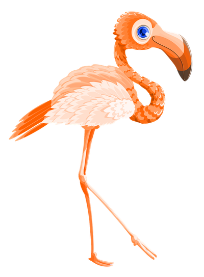 Flamingo Bird Vector PNG Transparent Image
