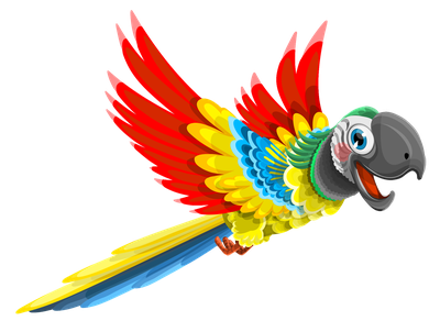 Parrot Vector PNG Transparent Image