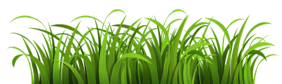 Grass Vector PNG Transparent Image