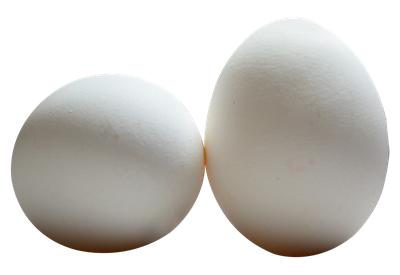 Egg PNG Transparent Image
