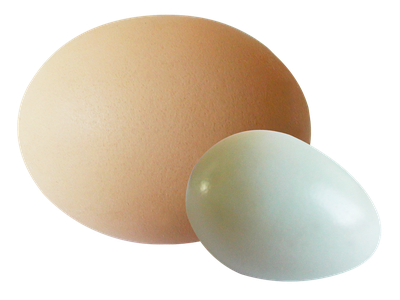 Eggs PNG Transparent Image