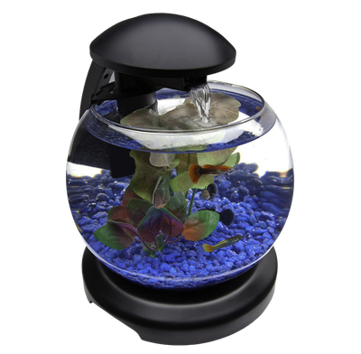 Glob Aquarium Fish Tank PNG Transparent Image