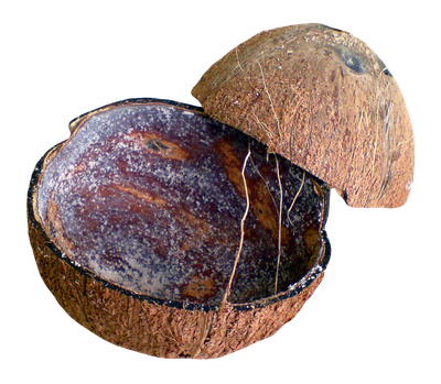 Coconut Shell PNG Transparent Image