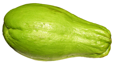 Chayote PNG image