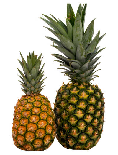 Pineapple PNG image