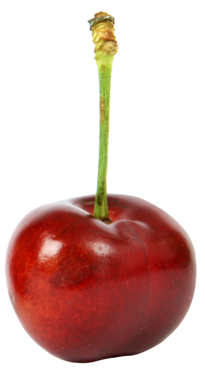 Sweet Ripe Cherry PNG image